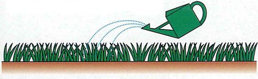 フマキラー株式会社 カダン 除草王 オールキラー粒剤