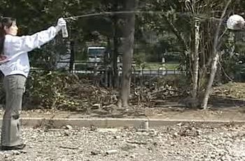 ハチの巣駆除ムース