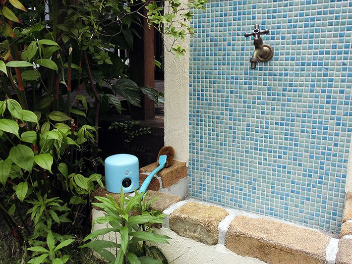 アニマルバリア・カラフルジュニア