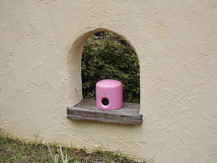 アニマルバリア・カラフルジュニア