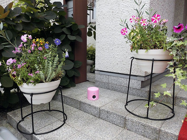 アニマルバリア・カラフルジュニア