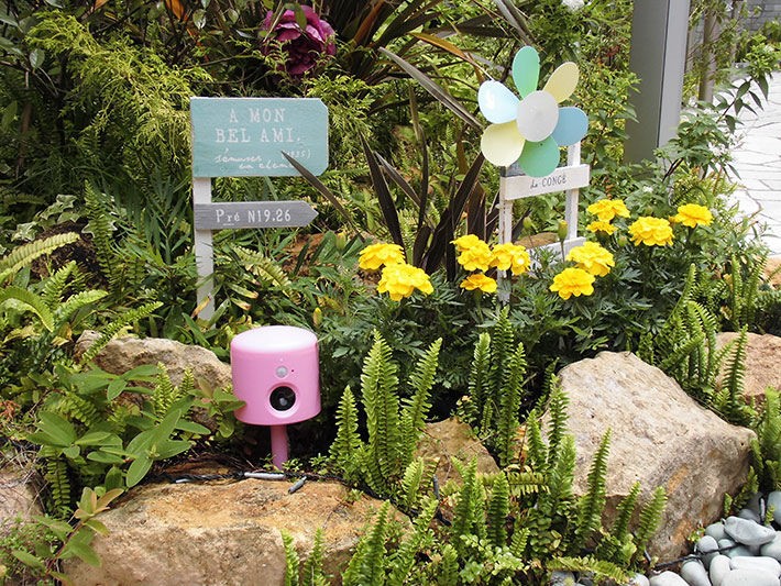 アニマルバリア・カラフルジュニア