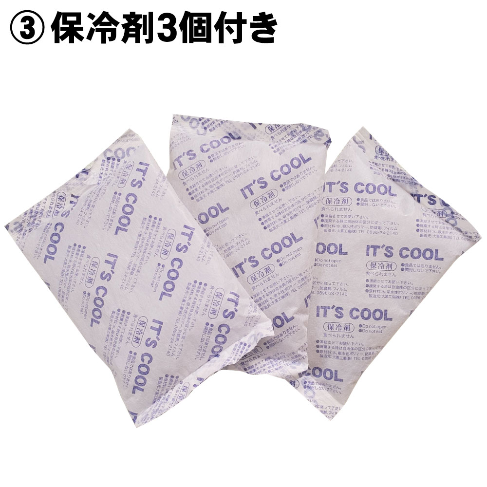 冷却ファン付 蜂防護服【ホーネットII】