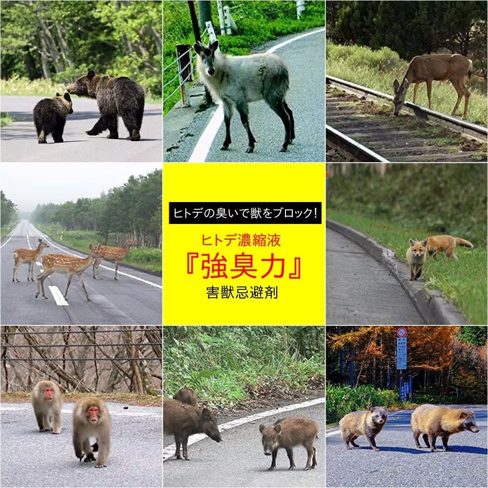 吉田水産株式会社 害獣忌避剤 ヒトデ濃縮液 強臭力