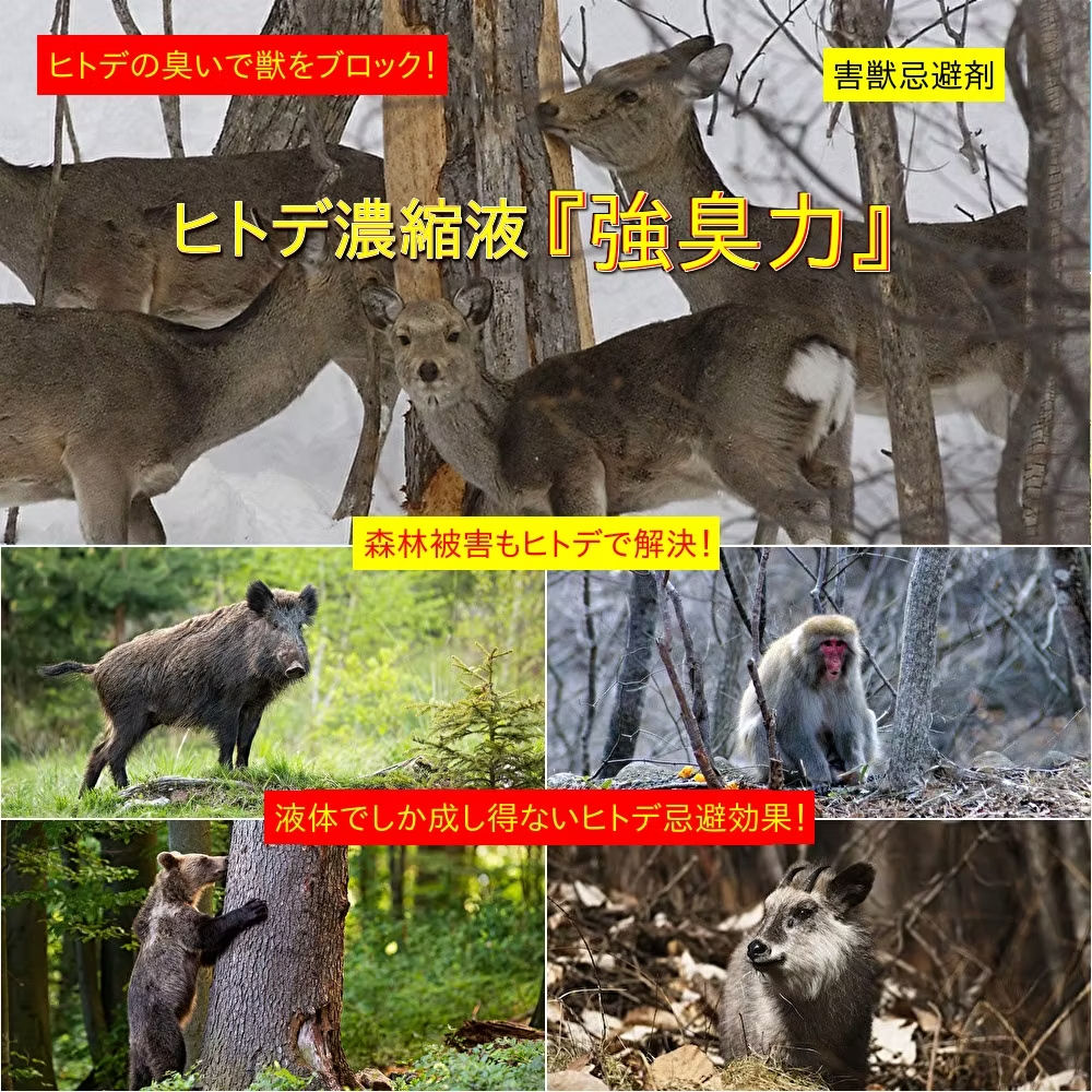 吉田水産株式会社 害獣忌避剤 ヒトデ濃縮液 強臭力