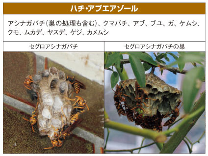 住友化学園芸株式会社 ハチ アブエアゾール 480ml