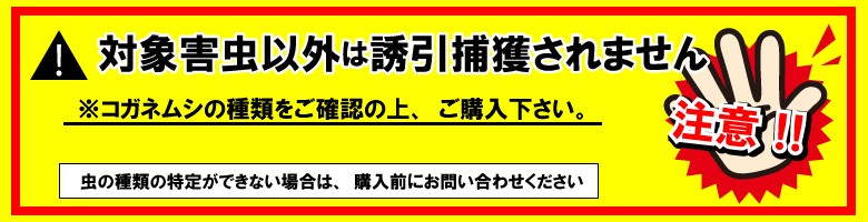 富士フレーバー株式会社 ニューウインズパック