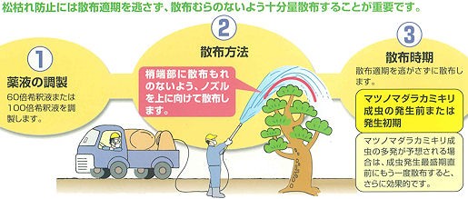 マツノマダラカミキリ、チャドクガ、アブラムシ類、アメリカシロヒトリ駆除