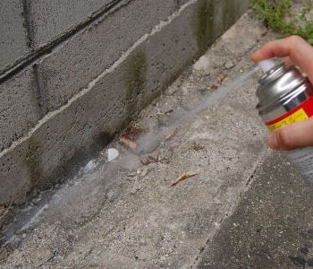 ムカデ駆除　ヤスデ退治　ゲジ駆除　アリの侵入防止に　スプレーできる粉末状殺虫剤　パウダースルー