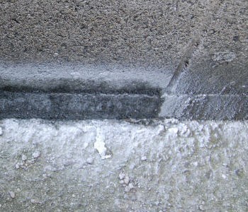 ムカデ駆除　ヤスデ退治　ゲジ駆除　アリの侵入防止に　スプレーできる粉末状殺虫剤　パウダースルー