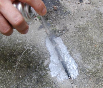 ムカデ駆除　ヤスデ退治　ゲジ駆除　アリの侵入防止に　スプレーできる粉末状殺虫剤　パウダースルー