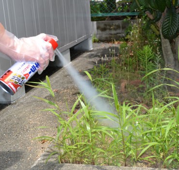 デング熱対策 蚊駆除フマキラーAダブルジェット