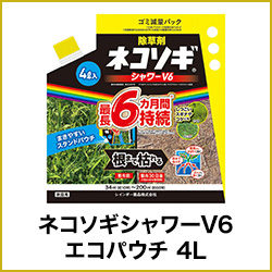 ネコソギシャワーV6 エコパウチ 4L