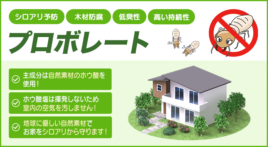 シロアリ 対策 プロボレート 4L ホウ酸塩 低臭 水性 クリア 防腐 防虫