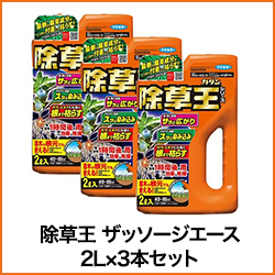 除草王シリーズ ザッソージエース 2L×3本セット