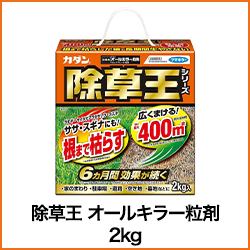 除草王 オールキラー粒剤 2kg
