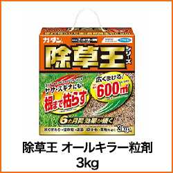 除草王 オールキラー粒剤 3kg