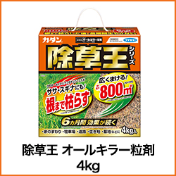 除草王 オールキラー粒剤 4kg