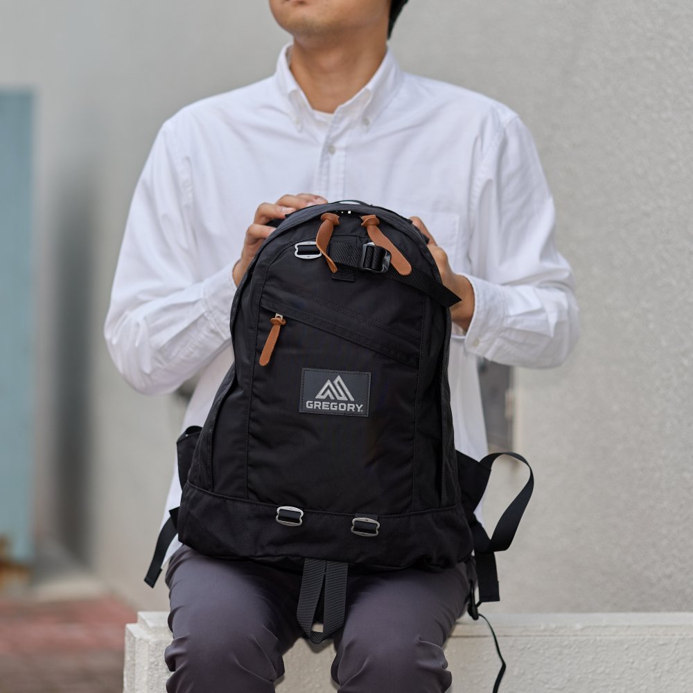 GREGORY グレゴリー リュック 18L ファインデイ V2 メンズ