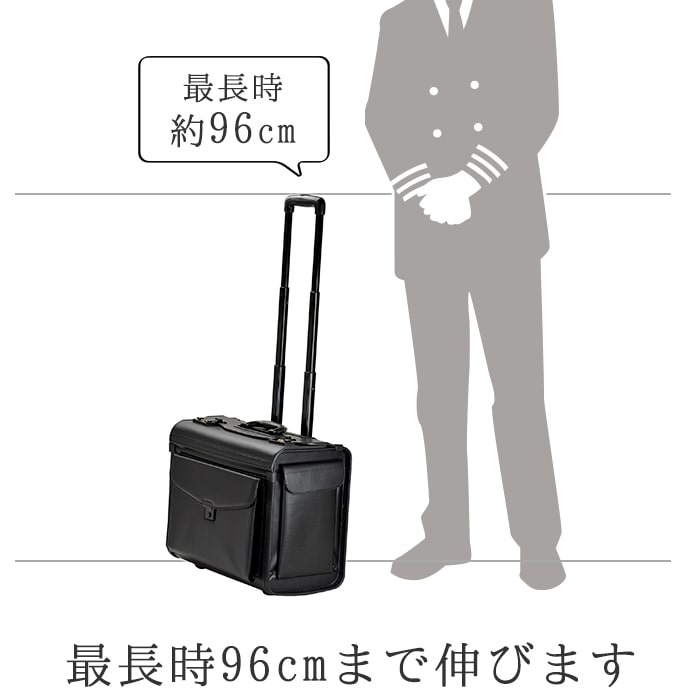 キャリーバー