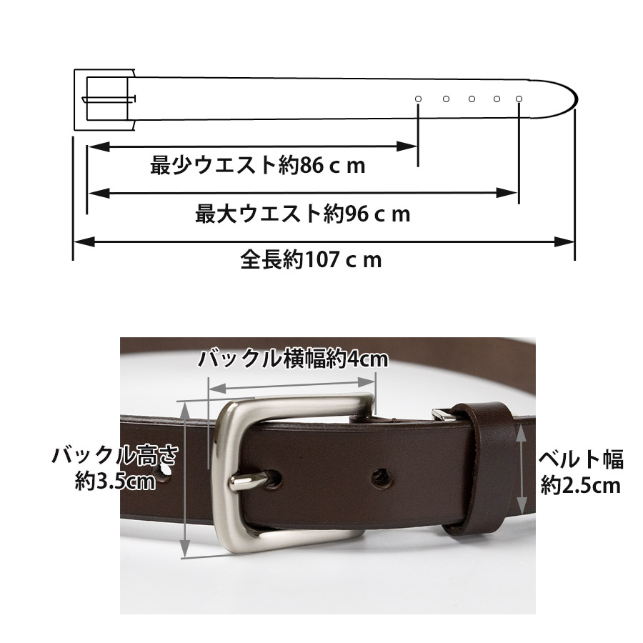 プロレザーベルト　Lサイズ プロレザーベルト – ゴールドジム公式オンラインストア｜GOLD'S GYMania