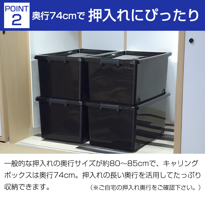 JEJアステージ 衣装ケース 衣類収納ボックス 幅44cm 奥行74cm 高さ35cm