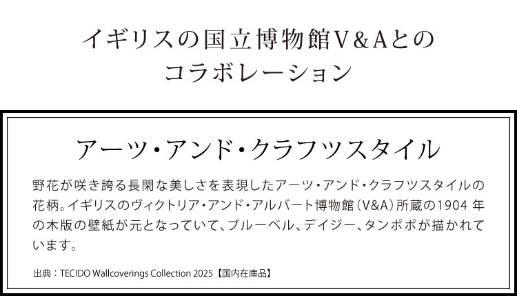 輸入壁紙 イギリス 花柄 フラワー ボタニカル かわいい おしゃれ クロス 不織布 1838 WALLCOVERINGS（52cm巾×10m巻）2412-178-03 2412-178-04 2412-178-05 | TECIDO | 06