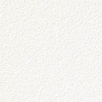 サンゲツ 国産壁紙 日本 eセコウクロス 無地 白系 漆喰風 織物調 スタンダード （92〜92.5cm巾 × 50m巻） ［1ロール単位（50m）］ ES8501〜ES8531 | サンゲツ | 06