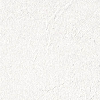 サンゲツ 国産壁紙 日本 eセコウクロス 無地 白系 漆喰風 織物調 スタンダード （92〜92.5cm巾 × 50m巻） ［1ロール単位（50m）］ ES8501〜ES8531 | サンゲツ | 10