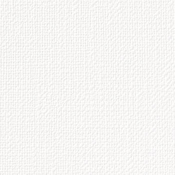 サンゲツ 国産壁紙 日本 eセコウクロス 無地 白系 漆喰風 織物調 スタンダード （92〜92.5cm巾 × 50m巻） ［1ロール単位（50m）］ ES8501〜ES8531 | サンゲツ | 17