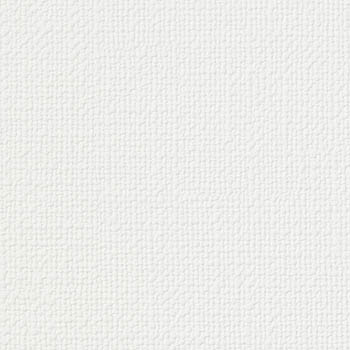 サンゲツ 国産壁紙 日本 eセコウクロス 無地 白系 漆喰風 織物調 スタンダード （92〜92.5cm巾 × 50m巻） ［1ロール単位（50m）］ ES8501〜ES8531 | サンゲツ | 18