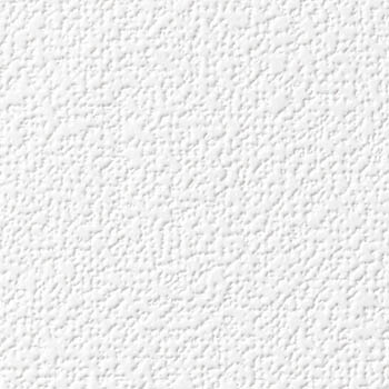 サンゲツ 国産壁紙 日本 eセコウクロス 無地 白系 漆喰風 織物調 スタンダード （92〜92.5cm巾 × 50m巻） ［1ロール単位（50m）］ ES8501〜ES8531 | サンゲツ | 19