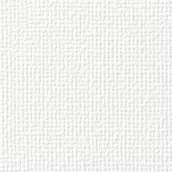 サンゲツ 国産壁紙 日本 eセコウクロス 無地 白系 漆喰風 織物調 スタンダード （92〜92.5cm巾 × 50m巻） ［1ロール単位（50m）］ ES8501〜ES8531 | サンゲツ | 21