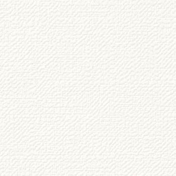 サンゲツ 国産壁紙 日本 eセコウクロス 無地 白系 漆喰風 織物調 スタンダード （92〜92.5cm巾 × 50m巻） ［1ロール単位（50m）］ ES8501〜ES8531 | サンゲツ | 26