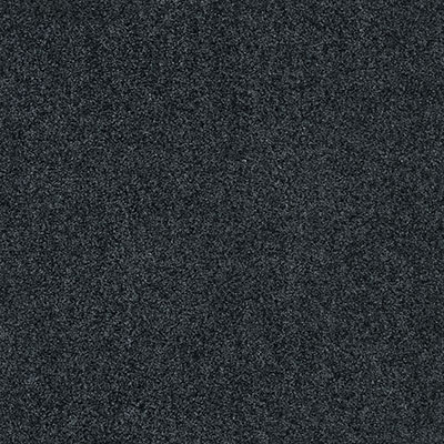 東リ タイルカーペット FF2400 ファブリックフロア ソワレ 50×50