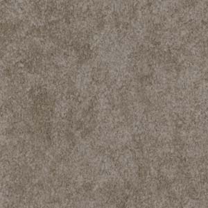 サンゲツ（SANGETSU） 【レビュー特典】サンゲツ フロアタイル 石目 IS