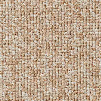 サンゲツ（SANGETSU） のりつき タイルカーペット NT-700 S 50x50cm 全