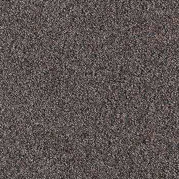 サンゲツ 【サンプル専用ページ】サンゲツ タイルカーペット NTP
