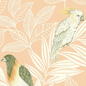 TECIDO（テシード） 輸入壁紙 クロス アメリカ製 鳥 オウム 植物