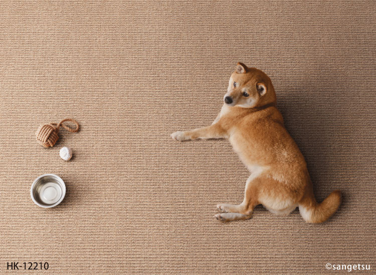 みわん2.0様　ヘッドのみ サンゲツ（SANGETSU） 長尺シート わんにゃん消臭フロア［ハード