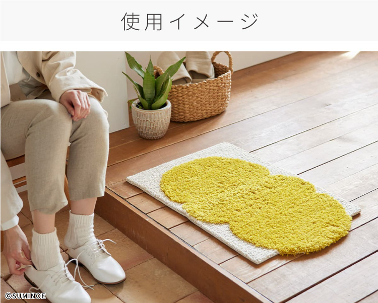 スミノエ カボチャクモマット 防ダニ マット 70x45cm 日本製 ワン