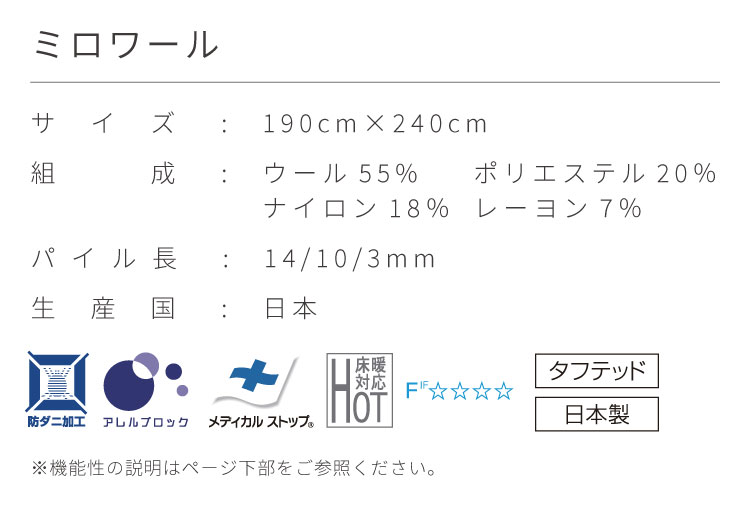 スミノエ 大特価！在庫限り 190×240cm ミロワール ラグ 賃貸