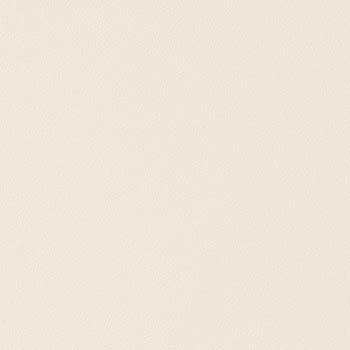 サンゲツ リアテック シート 日本製 カラー ライト系 ベージュ 122cm巾 無地 単色 壁紙 D...