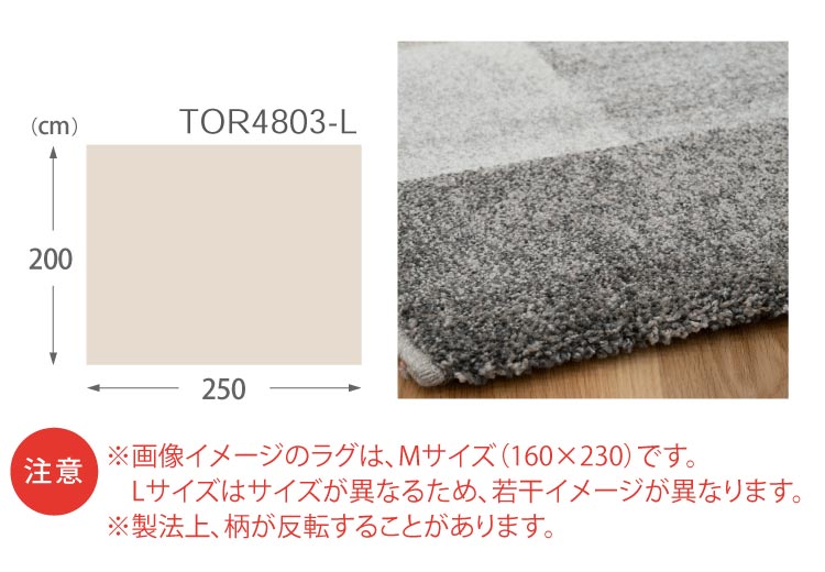 東リ ラグ 200×250cm 石目調 テクスチャー タイル模様 じゅうたん 全1色 TOR4803-L