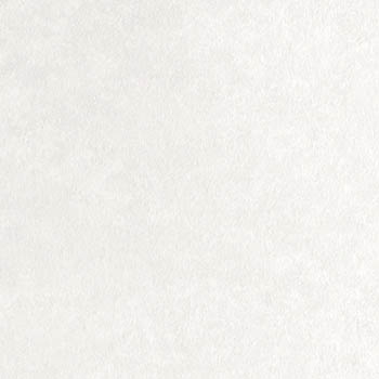 【サンプル専用ページ】サンゲツ リアテック 日本製 Awayuki 自然の輪郭 （カットサンプル）｜kabecolle｜03