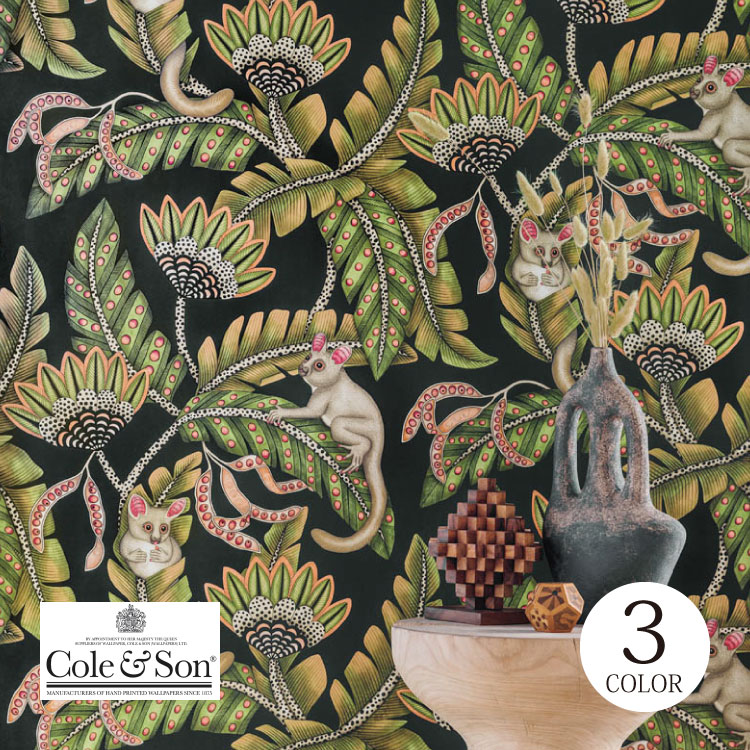 TECIDO（テシード） 輸入壁紙 クロス イギリス 草木 ボタニカル