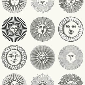 TECIDO（テシード） 輸入壁紙 イギリス Cole & Son フォルナセッティ