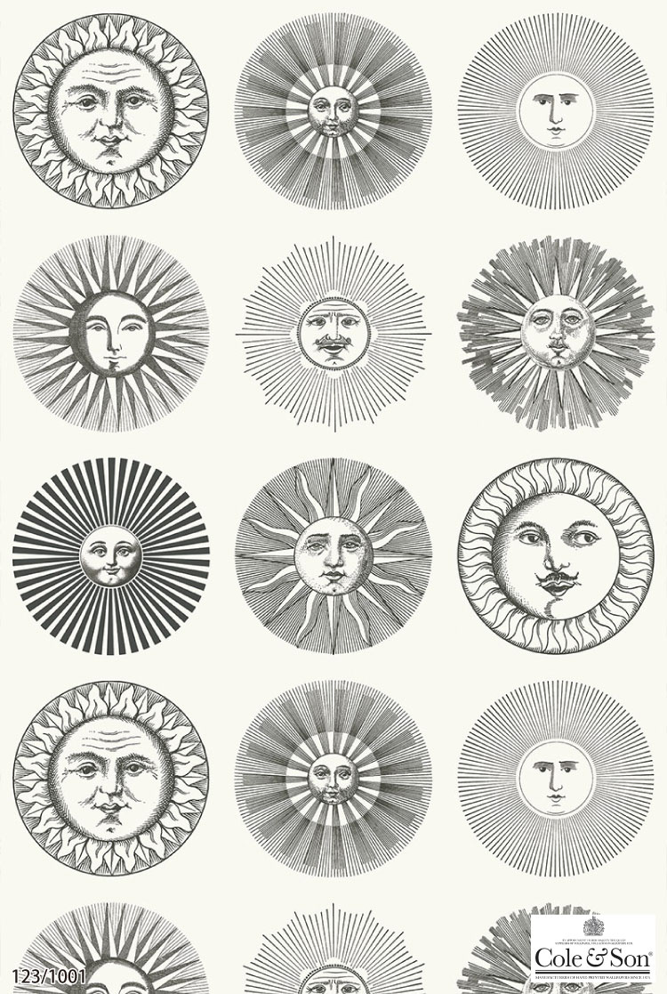 TECIDO（テシード） 輸入壁紙 イギリス Cole & Son フォルナセッティ