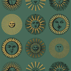 TECIDO（テシード） 輸入壁紙 イギリス Cole & Son フォルナセッティ