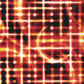 専用ページ サンゲツ（SANGETSU） 【サンプル専用ページ】サンゲツ タイル